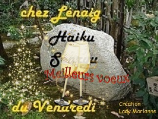 Haïkus 73 : tous mes vœux pour la nouvelle année