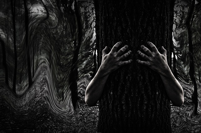 Défi 164 : d'étranges silhouettes en forêt