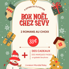 Box de Noël 2