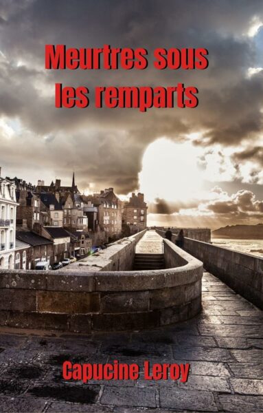 Meurtres sous les remparts de Capucine Leroy