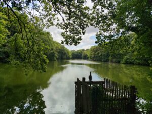 Parc de la Higourdais : Parenthèse verte à Épiniac