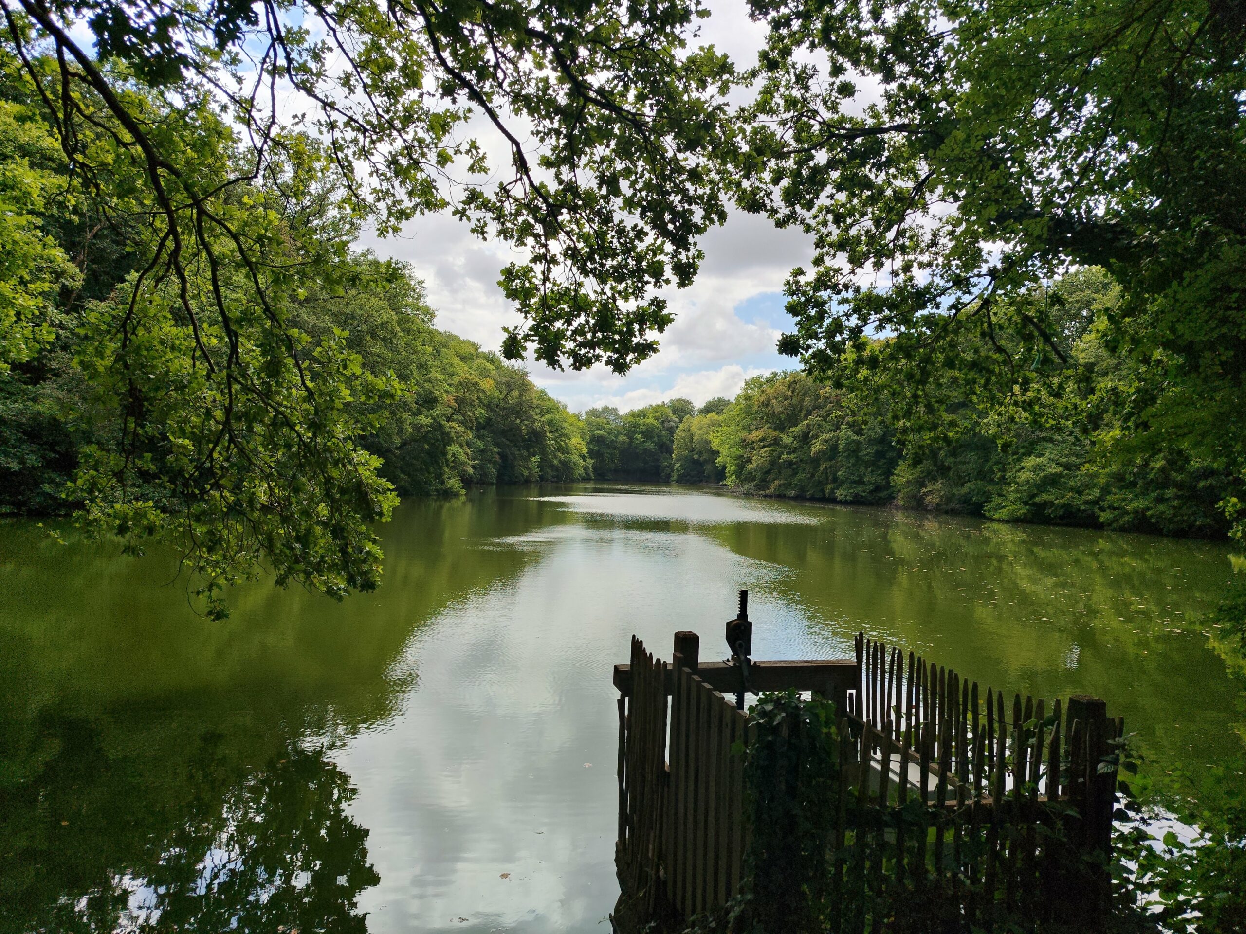 Parc de la Higourdais : Parenthèse verte à Épiniac