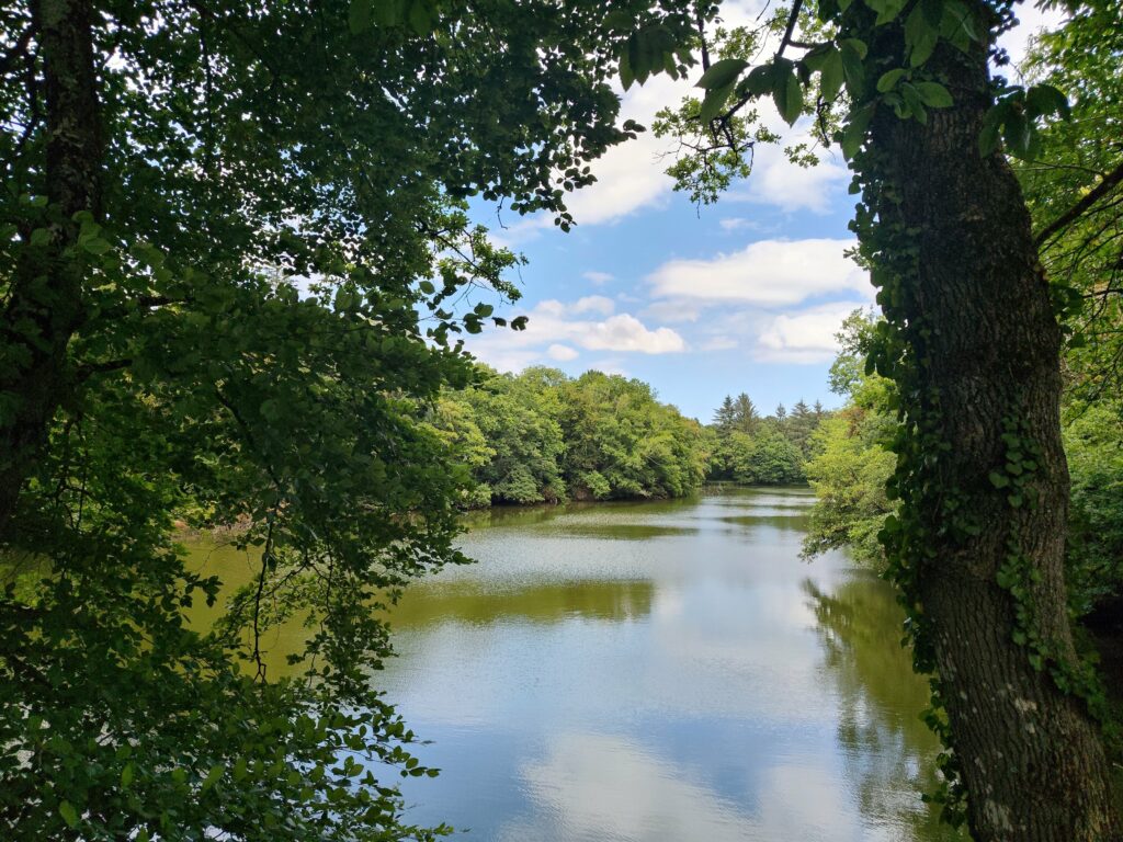 L'étang et la zone humide