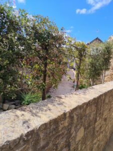 Dinant : La ceinture de pierre et ses panoramas