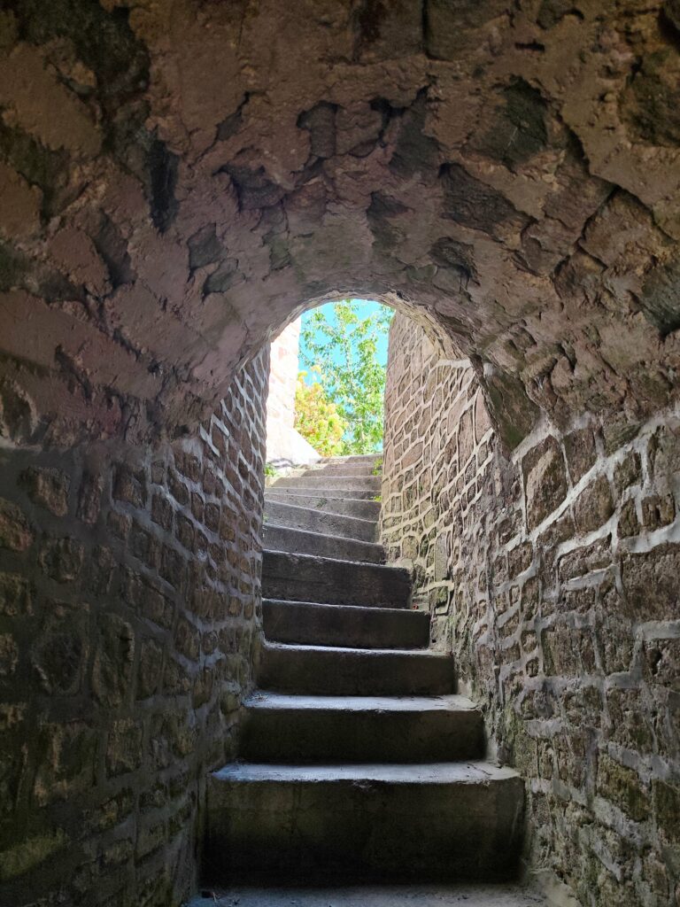 Le Donjon et les remparts
