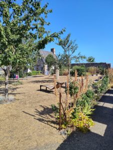 Le Donjon et les remparts