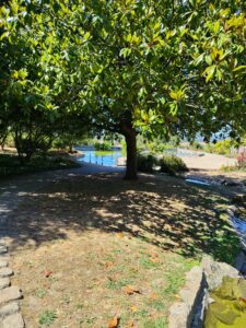 Jardin des Plantes d'Avranches