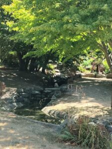 Jardin des Plantes d'Avranches