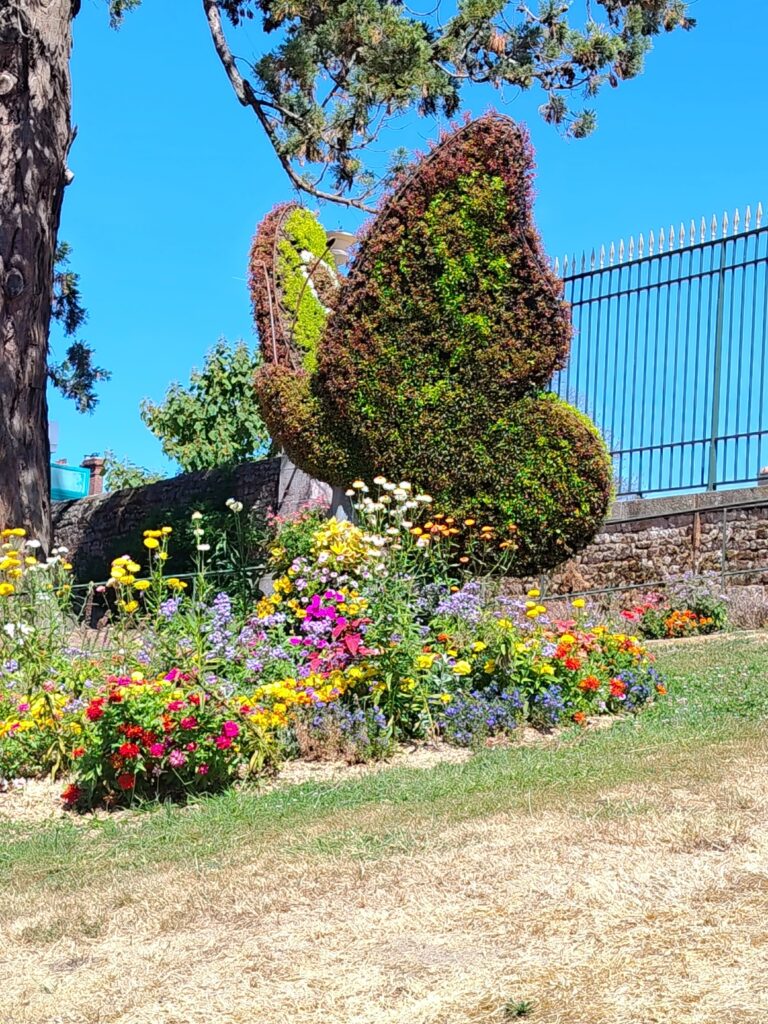 Jardin des Plantes d'Avranches
