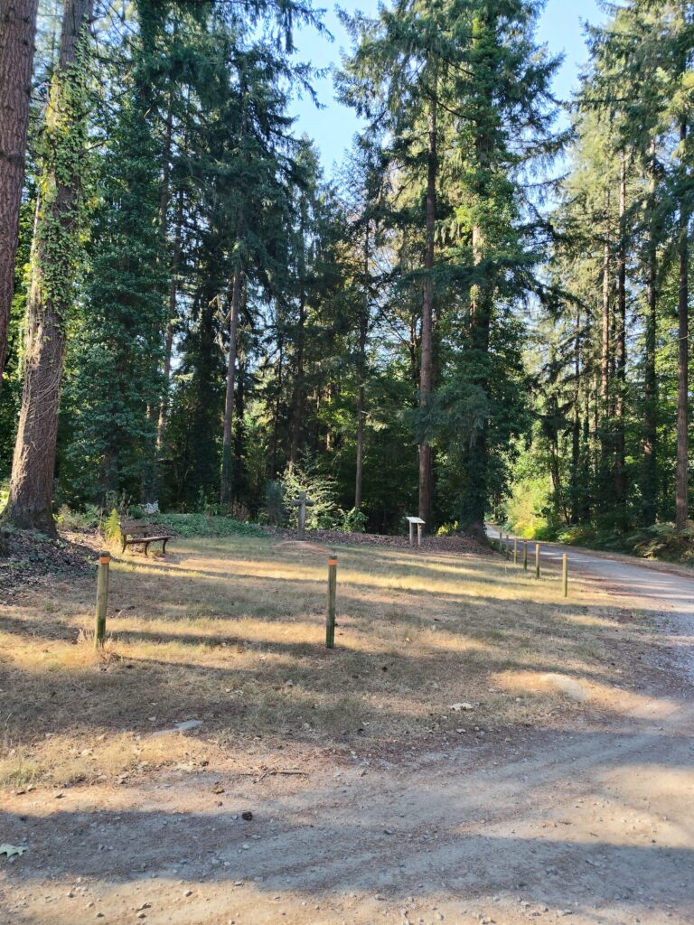 La forêt communale d'Épiniac