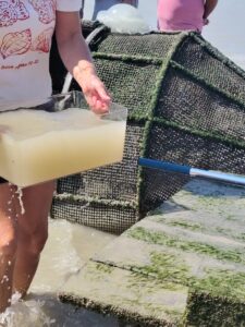 découverte de la pêcherie