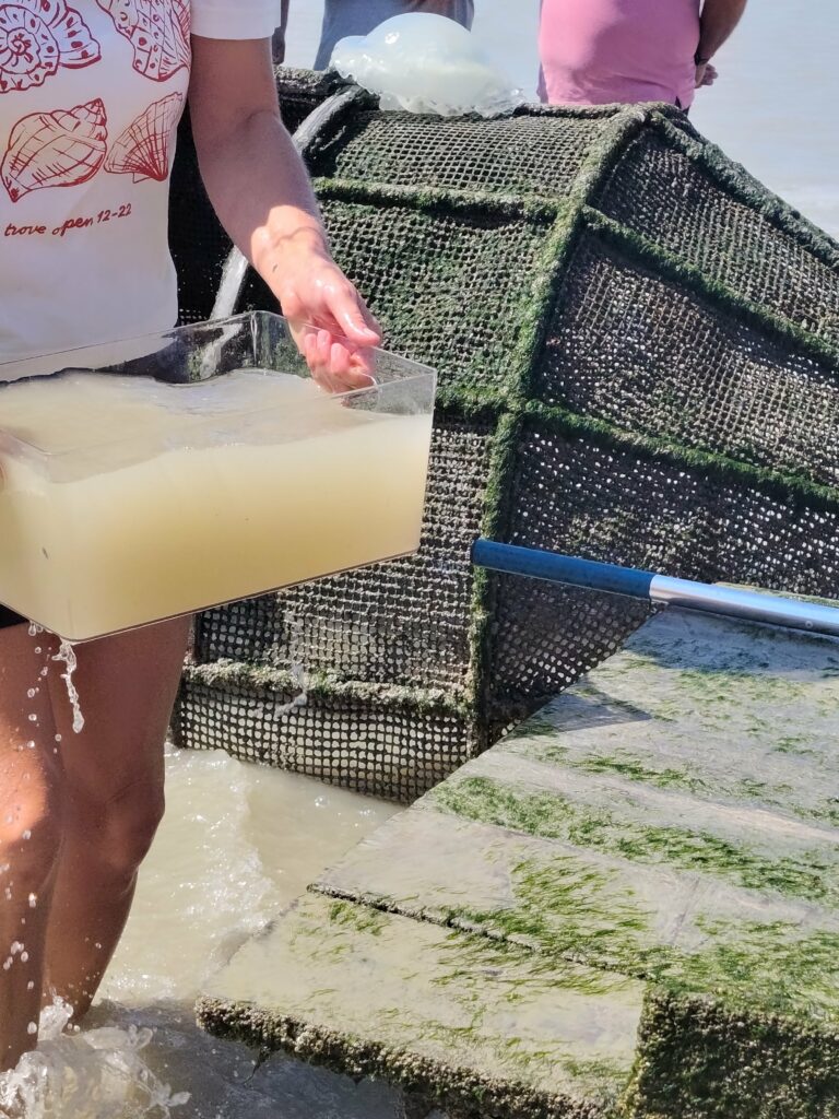 découverte de la pêcherie
