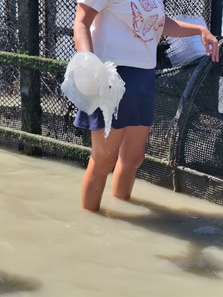 découverte de la pêcherie