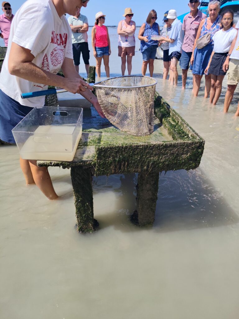 découverte de la pêcherie