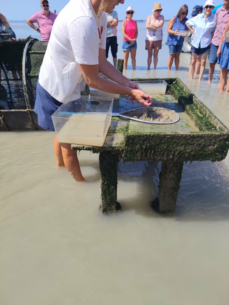 découverte de la pêcherie