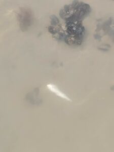 découverte de la pêcherie