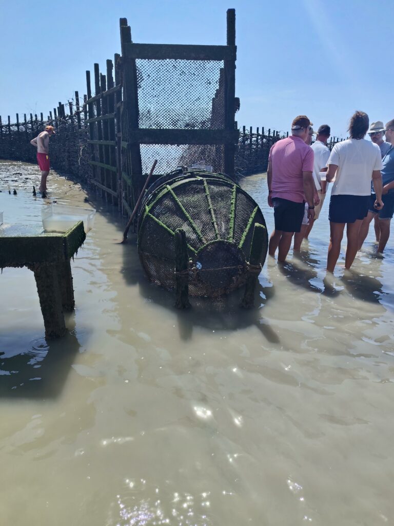 découverte de la pêcherie