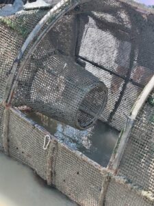 découverte de la pêcherie