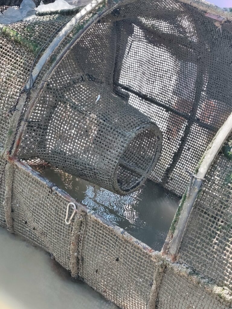 découverte de la pêcherie