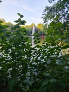 Parenthèse verte : Le Jardin des Plantes