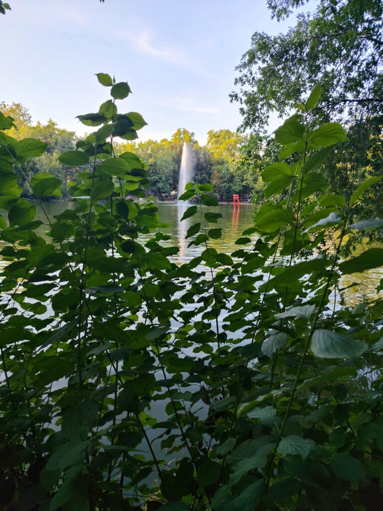 Parenthèse verte : Le Jardin des Plantes