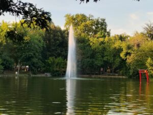 Parenthèse verte : Le Jardin des Plantes